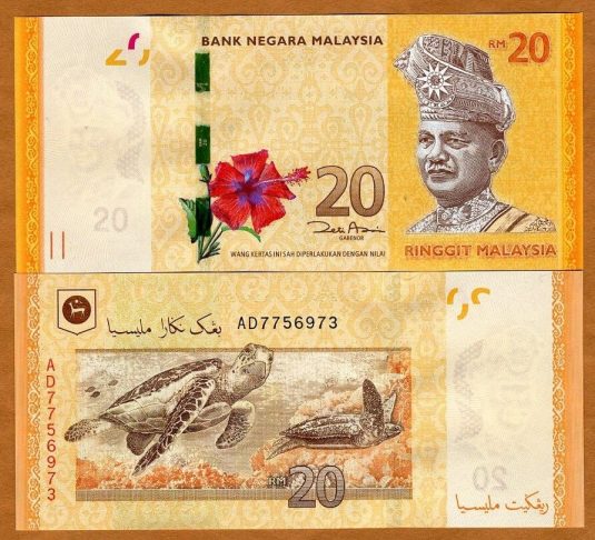 20 Malaysian Ringgit