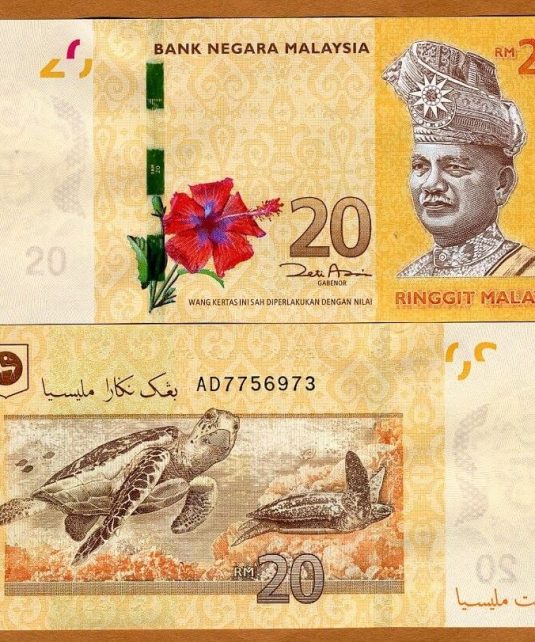 20 Malaysian Ringgit