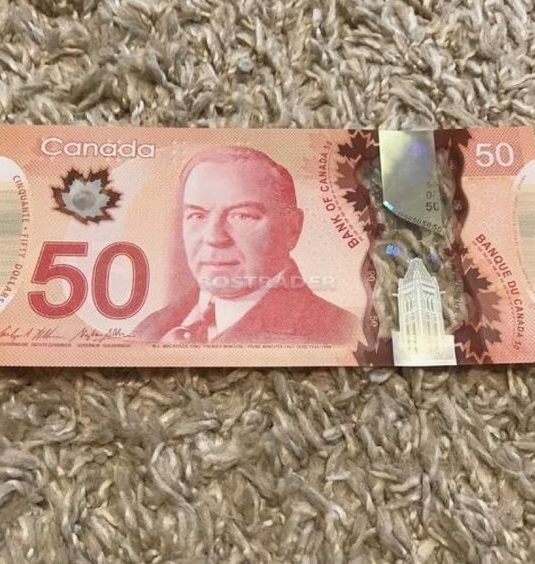 Canadian 50 Dollar Bill