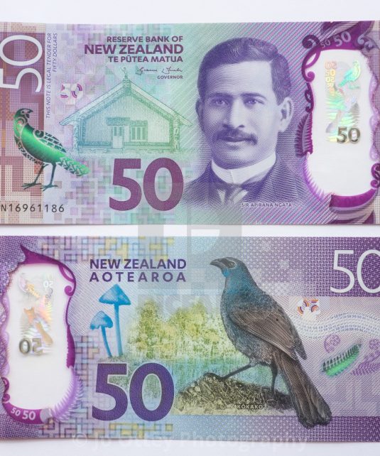 New Zealand 50 Dollar Bill